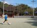 Shingo